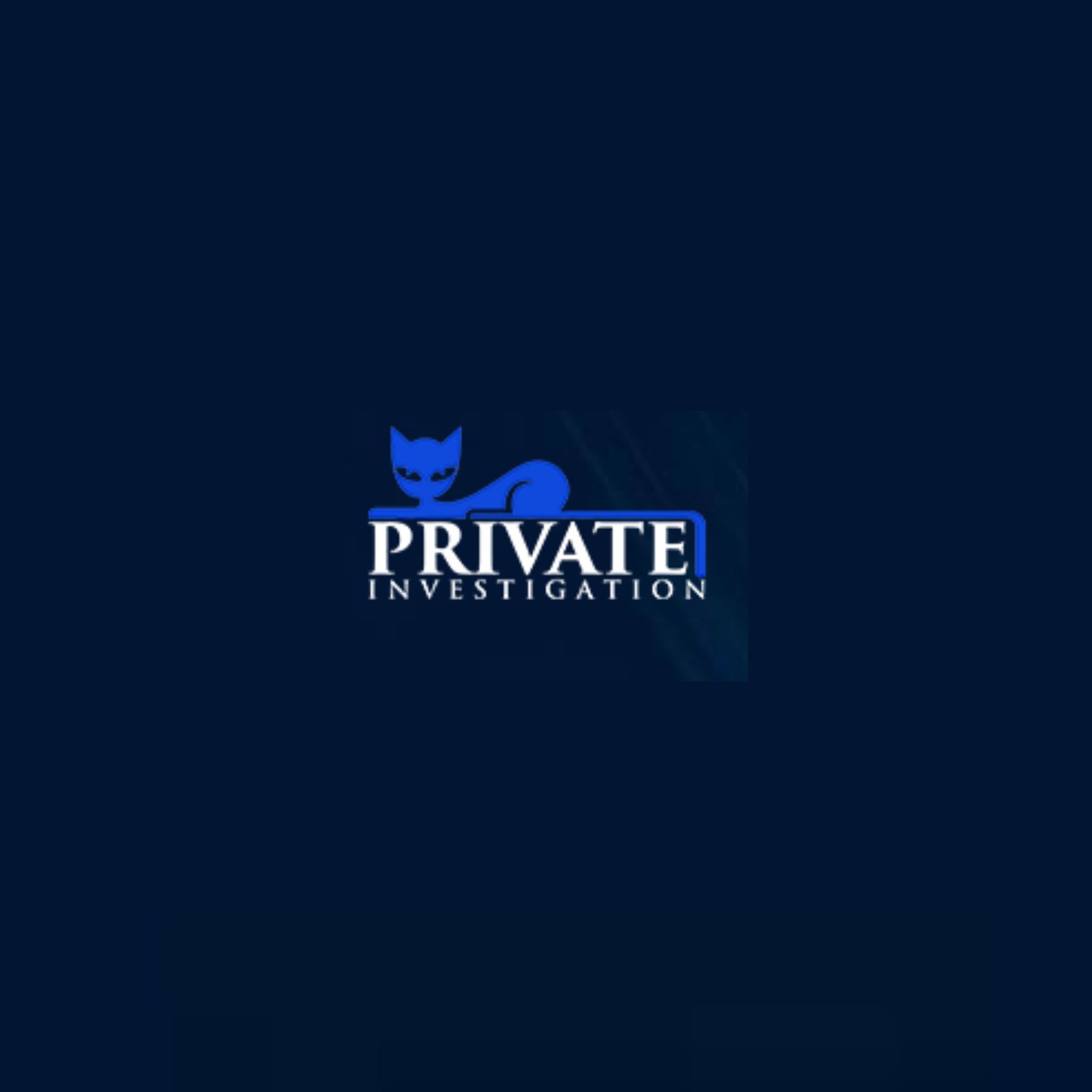 Sneaky Cat Private Investigation